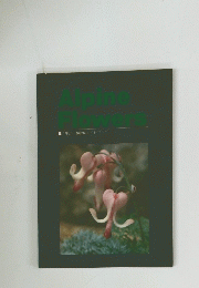 Alpine　Flowers