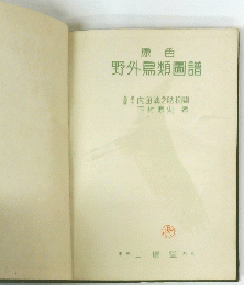 野外鳥類圖譜