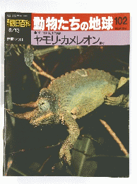 朝日百科　動物たちの地球　102　平成5年6月13日号