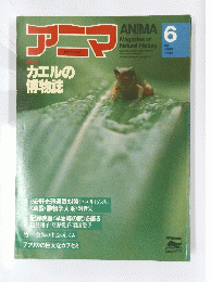 アニマ　カエルの 博物誌　6