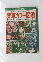 薬草カラー図鑑