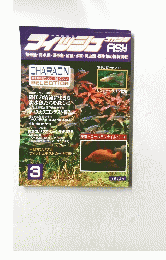 フィッシュマガジン　FISH MAGAZINE　1996年3月号