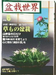 盆栽世界　2002年6月号　草もの盆栽