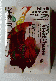 文藝　BUNGEI　1993年冬季号