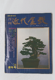 近代盆栽