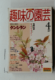 NHK趣味の園芸　1996年4月号