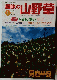 趣味の山野草　１９９９年１月号　Vol.222