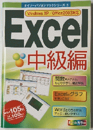 WindowsXP/Office2003対応Excel　中級編　ダイソーパソコンブックシリーズ ６