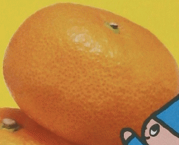 へんしん!! かわむきころころえほん1