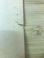 開拓村における純粹入植者の定着性に関する一資料 : 岡山縣児島郡藤田村における農村人口收容力調査結果の中間報告