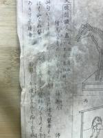 美術世界