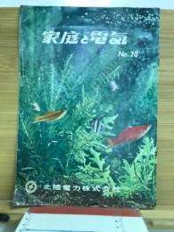 家庭と電気