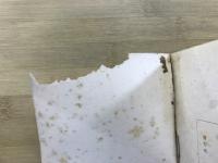 開拓村農繁期託兒所に就て