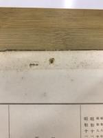 新制國文學史