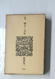 詩集　墜ちよ少年