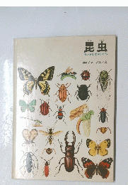 昆虫