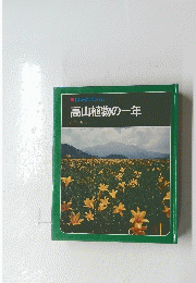 高山植物の一年