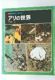 科学のアルバム　アリの世界
