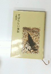 すばらしい家族