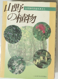 山野の植物