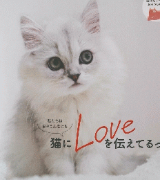 ねこのきもち　2020年12月