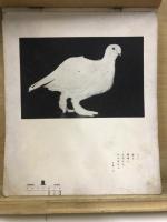 山岳寫眞帳