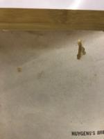 えっくす・わい