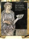 IL PAVIMENTO DEL DUOMO DI SIENA