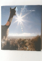 VICUNA THE QUEEN OF THE ANDES