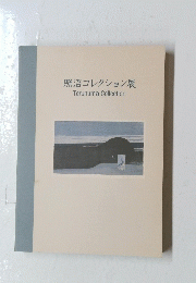 照沼コレクション展　TerunumaCollection