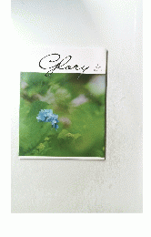 Glory　6 2022　No. 29
