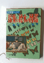 採集標本の図鑑　学習図鑑シリーズ 　１７