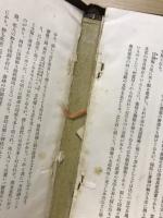 東洋史六講 : 上古史より宋史まで