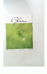Glory　6 2021 No. 17