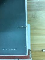 現代日本の精神構造