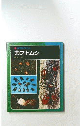 カブトムシ