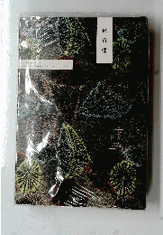 紋黄蝶