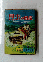 昆虫の図鑑