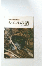 沖縄の自然百科　9　カエルの話