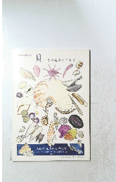 貝　その魅力とふしぎ