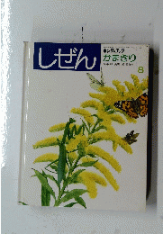 しぜん　８　かまきり