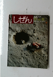 しぜん　１９９２年７月号 ひがた