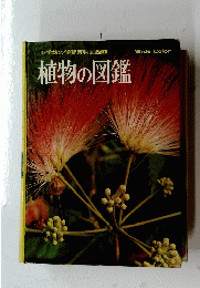 植物の図鑑　小学館の学習百科図鑑 1
