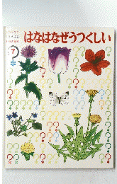 はなはなぜうつくし　7