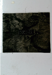 SHIBATA SHOICHI Print Works 2009-2012年号 "Hiroshima File"