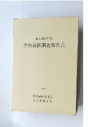 中島遺跡調査報告書