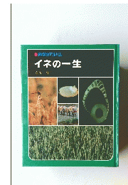 科学のアルバム　イネの一生