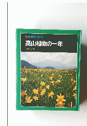 高山植物の一年　科学のアルバム