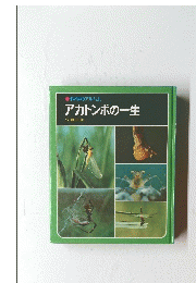 科学のアルバム　アカトンボの一生