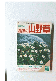 趣味の山野草　11